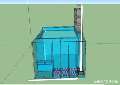 側濾魚缸用兩個水泵：側濾魚缸使用兩個水泵可以提高過濾效率、提高過濾效率
