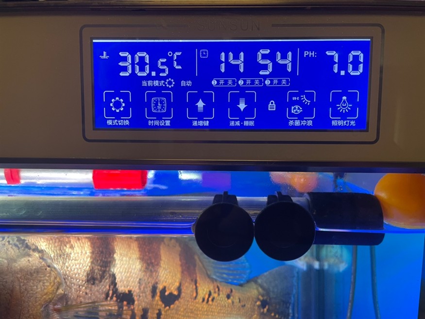 專業(yè)治理水族箱跌酸