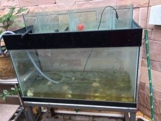 玻璃魚缸滲水怎么辦：玻璃魚缸滲水原因及修補方法及修補方法及修補方法 玻璃魚缸滲水怎么辦：玻璃魚缸滲水原因及修補方法及修補方法及修補方法 魚缸百科 第3張
