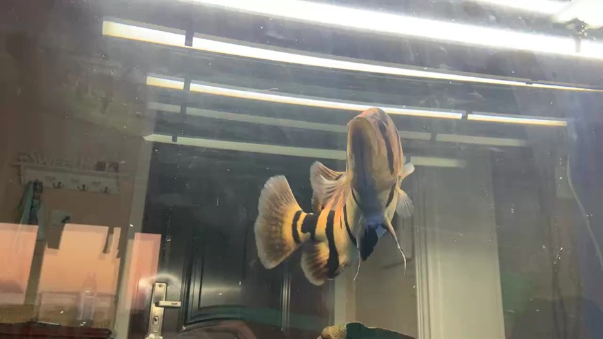 好久沒開燈