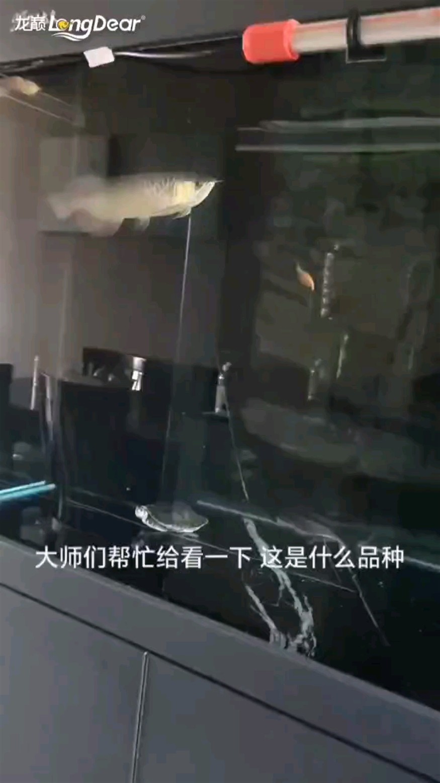 轉發165
