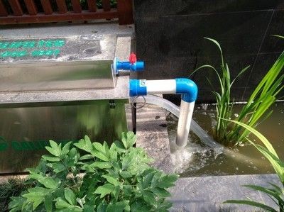 帶過濾的魚缸多久換水比較好：帶過濾的魚缸換水頻率應該如何調整