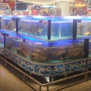 超市水產魚缸魚長毛：超市水產魚缸魚長毛怎么辦 超市水產魚缸魚長毛：超市水產魚缸魚長毛怎么辦 魚缸百科 第1張