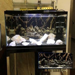 大型魚缸專用膠怎么用：大型魚缸專用膠的使用方法 大型魚缸專用膠怎么用：大型魚缸專用膠的使用方法 魚缸百科 第3張