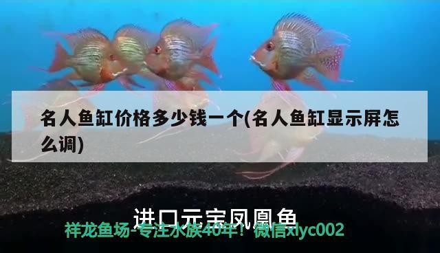 名人魚缸價格多少錢一個(名人魚缸顯示屏怎么調)