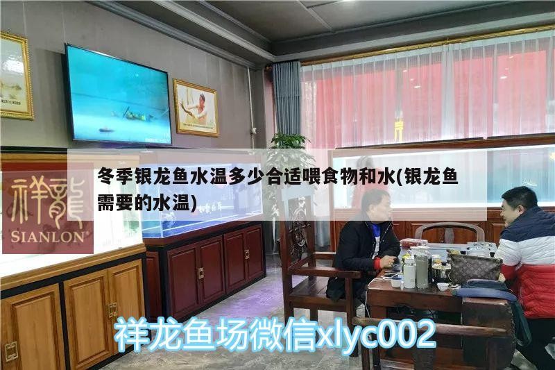 冬季銀龍魚水溫多少合適喂食物和水(銀龍魚需要的水溫)