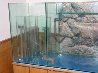 單面玻璃魚缸制作視頻：如何自制魚缸？