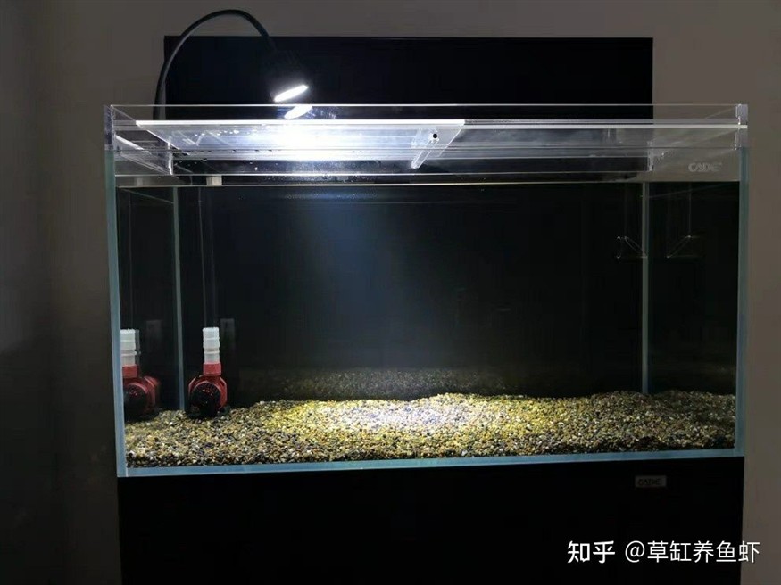 超白魚缸品牌推薦一下：超白魚缸品牌推薦森森、佳璐、魚麒麟品牌推薦上榜