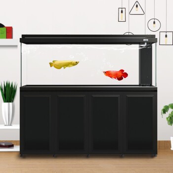 錫林浩特市忠海水族花卉店（錫林浩特市忠海水族花卉店電話） 錫林浩特市忠海水族花卉店（錫林浩特市忠海水族花卉店電話） 全國水族館企業名錄 第1張