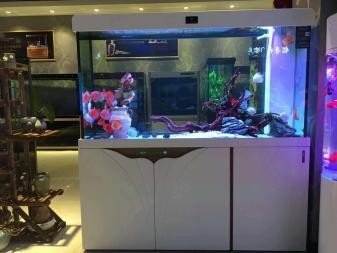 穆棱市八面通鎮漁友水族店 穆棱市八面通鎮漁友水族店 全國水族館企業名錄 第1張