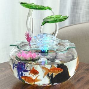 盤錦市興隆臺(tái)區(qū)鑫洋水族店（盤錦市興隆臺(tái)區(qū)鑫洋水族店電話）
