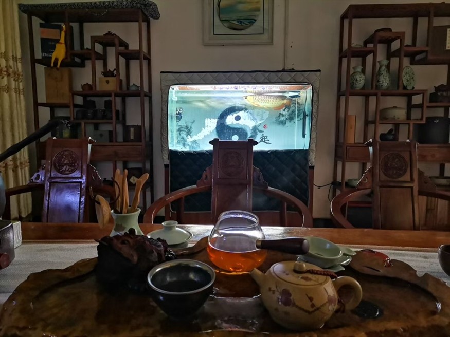 生于水，卒于水，葬于土，遁于風，感謝4年零98天的陪伴，希君生羽翼，一化北冥魚。#龍魚擋災