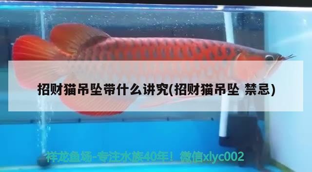 招財貓吊墜帶什么講究(招財貓吊墜禁忌)