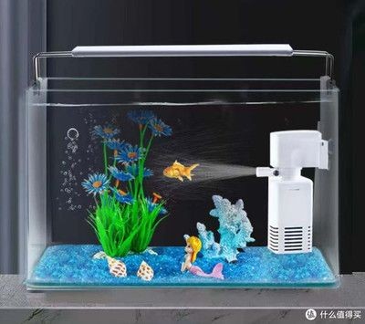 帶蓋的魚缸怎么改過濾 魚缸百科 第3張 帶蓋的魚缸怎么改過濾 帶蓋的魚缸怎么改過濾 魚缸百科 第3張