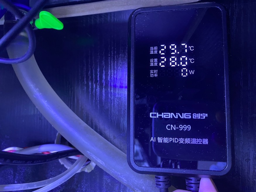 魚缸加熱棒溫控 龍魚論壇 第4張 魚缸加熱棒溫控 魚缸加熱棒溫控 龍魚論壇 第4張