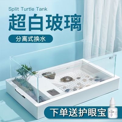 大型魚缸多久換水比較好：大型魚缸多久換水一次？
