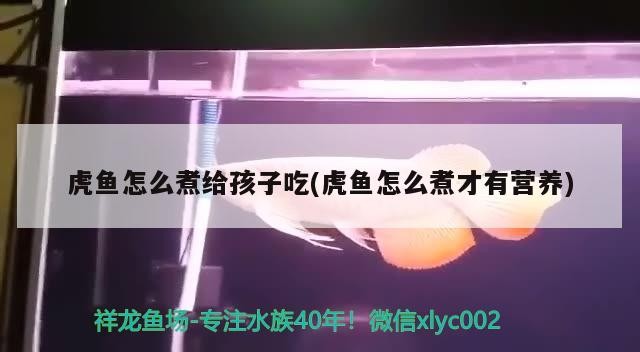 虎魚怎么煮給孩子吃(虎魚怎么煮才有營(yíng)養(yǎng))