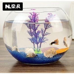玻璃魚缸種什么花好養(yǎng)：在玻璃魚缸中容易養(yǎng)護的花卉