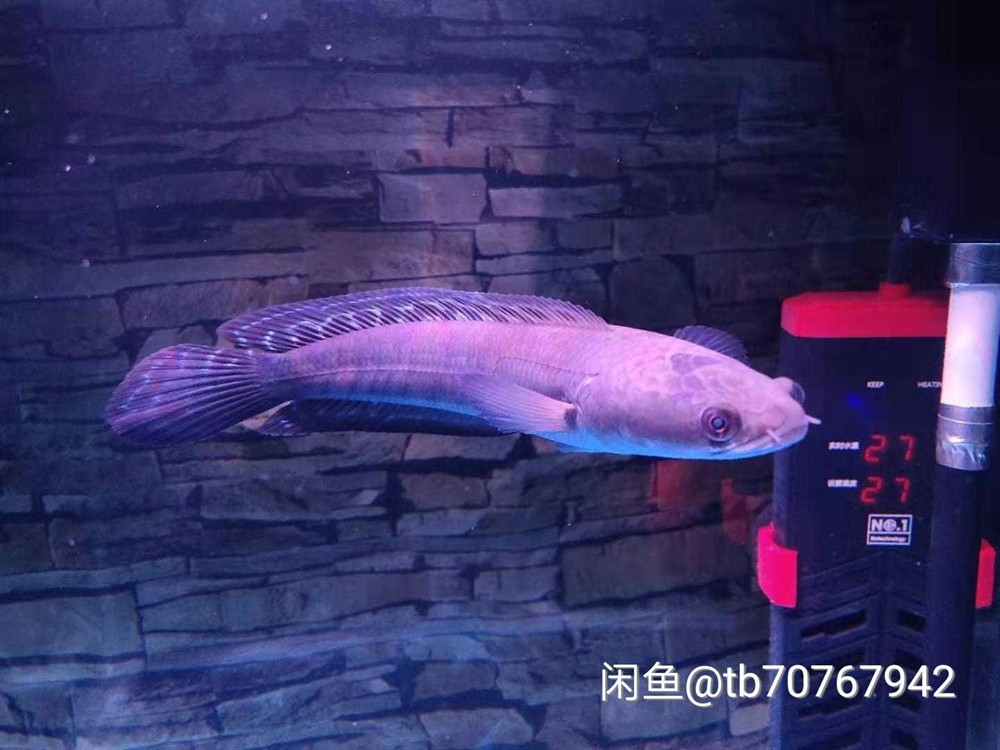 勞煩大家看看