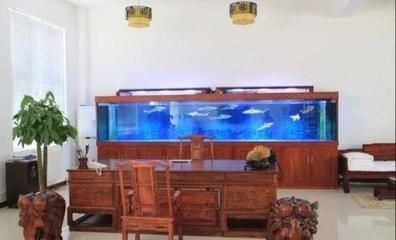 玻璃膠可以粘魚缸嗎：diy魚缸制作的步驟與技巧