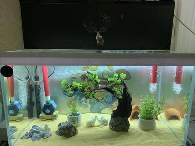 超白魚缸跟普通魚缸裝水后對(duì)比圖：如何選擇超白魚缸？
