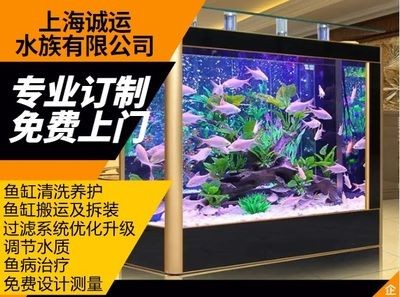 搬運魚缸找哪家公司好一點：如何選擇搬家公司 搬運魚缸找哪家公司好一點：如何選擇搬家公司 魚缸百科 第4張