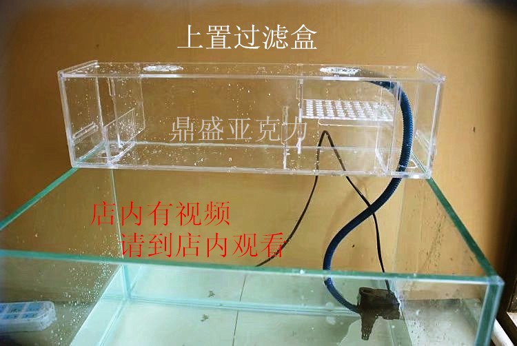 昆明市五華區云麗水族器材店（昆明市五華區云麗水族器材店地址）