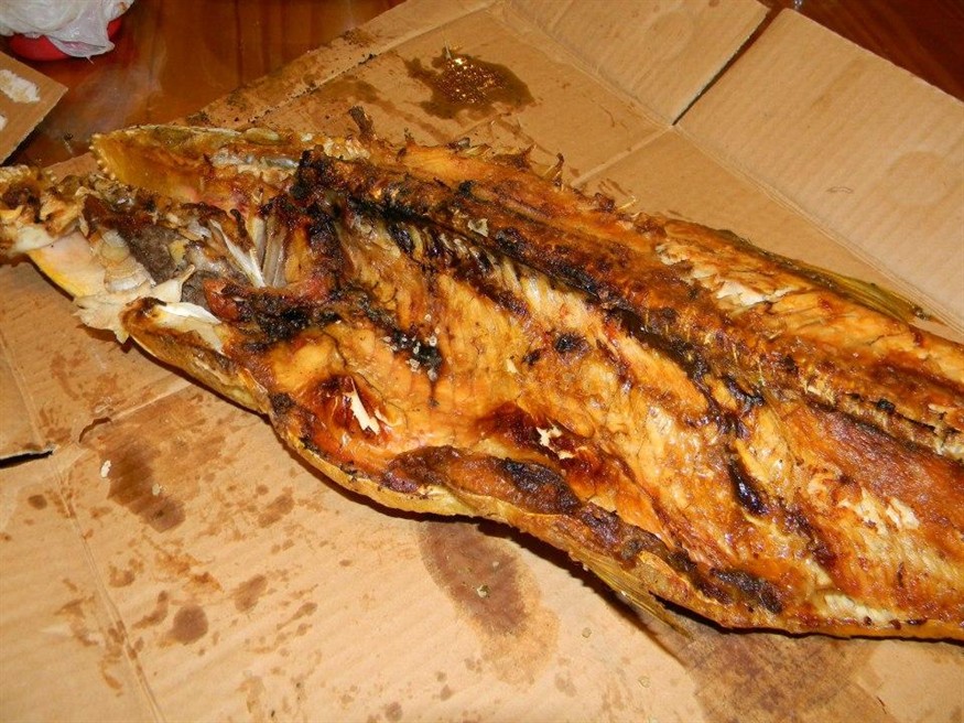 黃金河虎魚批發