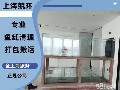 大型魚缸怎么搬運(yùn)上樓視頻教學(xué)：如何安全地搬運(yùn)大型魚缸上樓