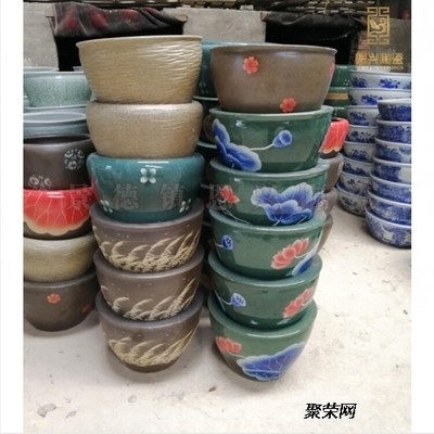 北京龍巔水族店（北京龍巔水族店電話）