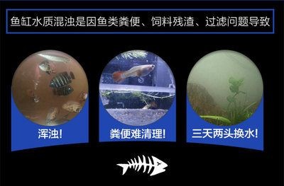 大型魚缸糞便怎么清理：如何清理大型魚缸糞便