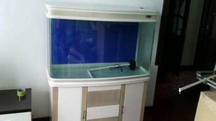 大魚缸哪里買比較好：在購買大魚缸時需要注意以下幾點，可以考慮以下幾點 大魚缸哪里買比較好：在購買大魚缸時需要注意以下幾點，可以考慮以下幾點 魚缸百科 第4張