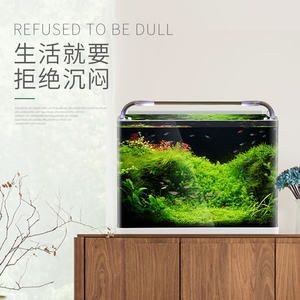 敞開式魚缸在屋里好嗎：敞開式魚缸在屋里的風水影響