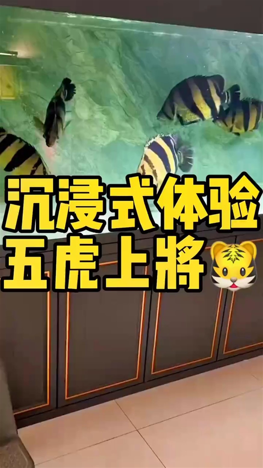 沉浸式體驗五虎上將