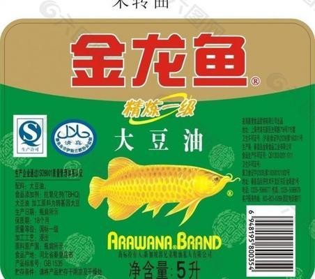 紅龍魚是什么（紅龍魚是什么魚）