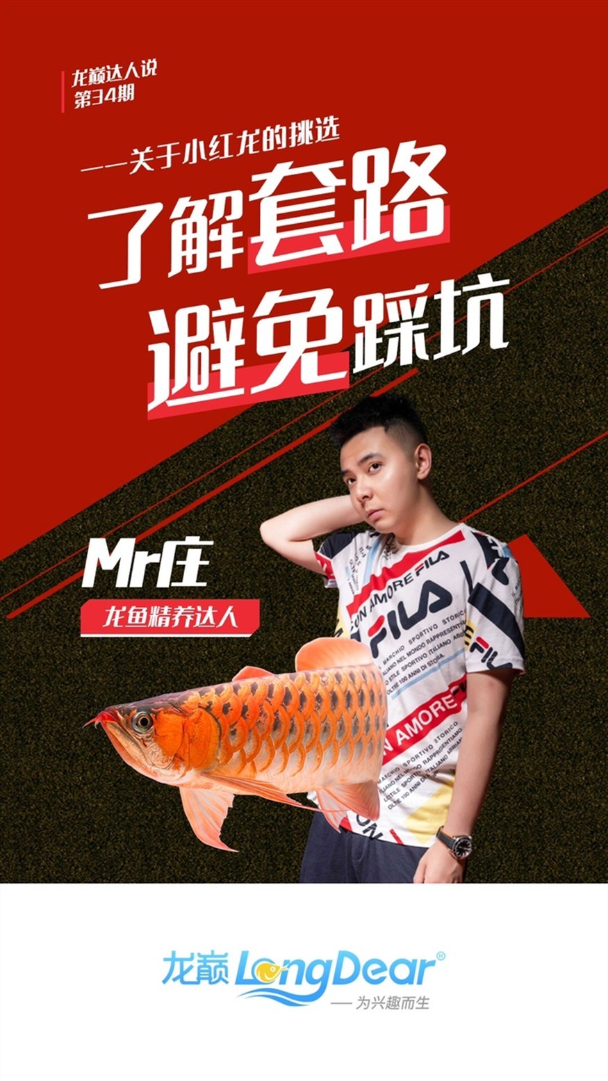 搬家了,沒地方養了 龍魚論壇 第4張 搬家了,沒地方養了 搬家了,沒地方養了 龍魚論壇 第4張