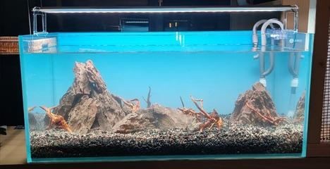 大型魚缸使用方法視頻：大型魚缸使用方法視頻及使用指南