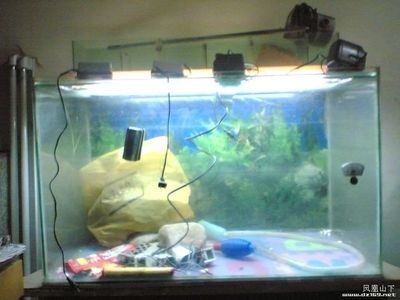 NEO魚缸怎么安裝：neo魚缸安裝指南