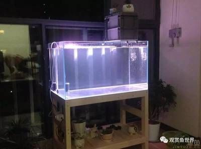 帶蓋子的魚缸改過濾器好嗎：帶蓋子的魚缸可以改造成過濾器嗎？