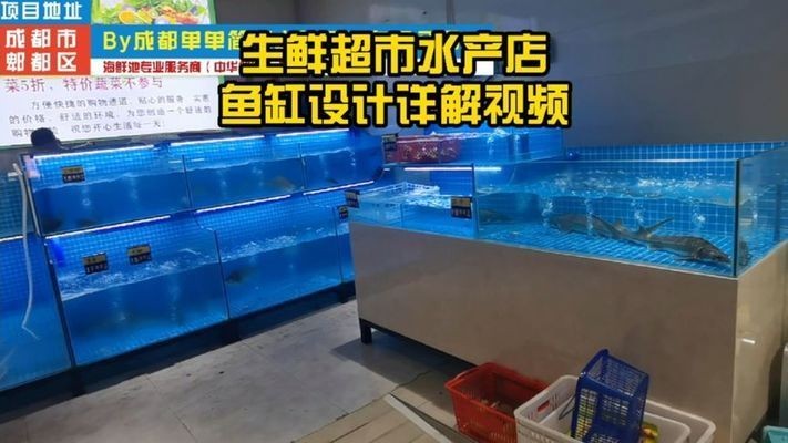 超市賣魚用的魚缸里面有什么：超市賣魚用的魚缸是為了保持魚類的鮮活狀態而設計的