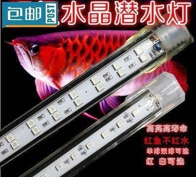龍魚(yú)紅燈和白燈怎么擺放