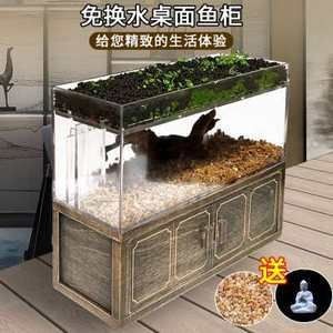 斗魚缸可以造景嗎視頻：探索水族造景的世界