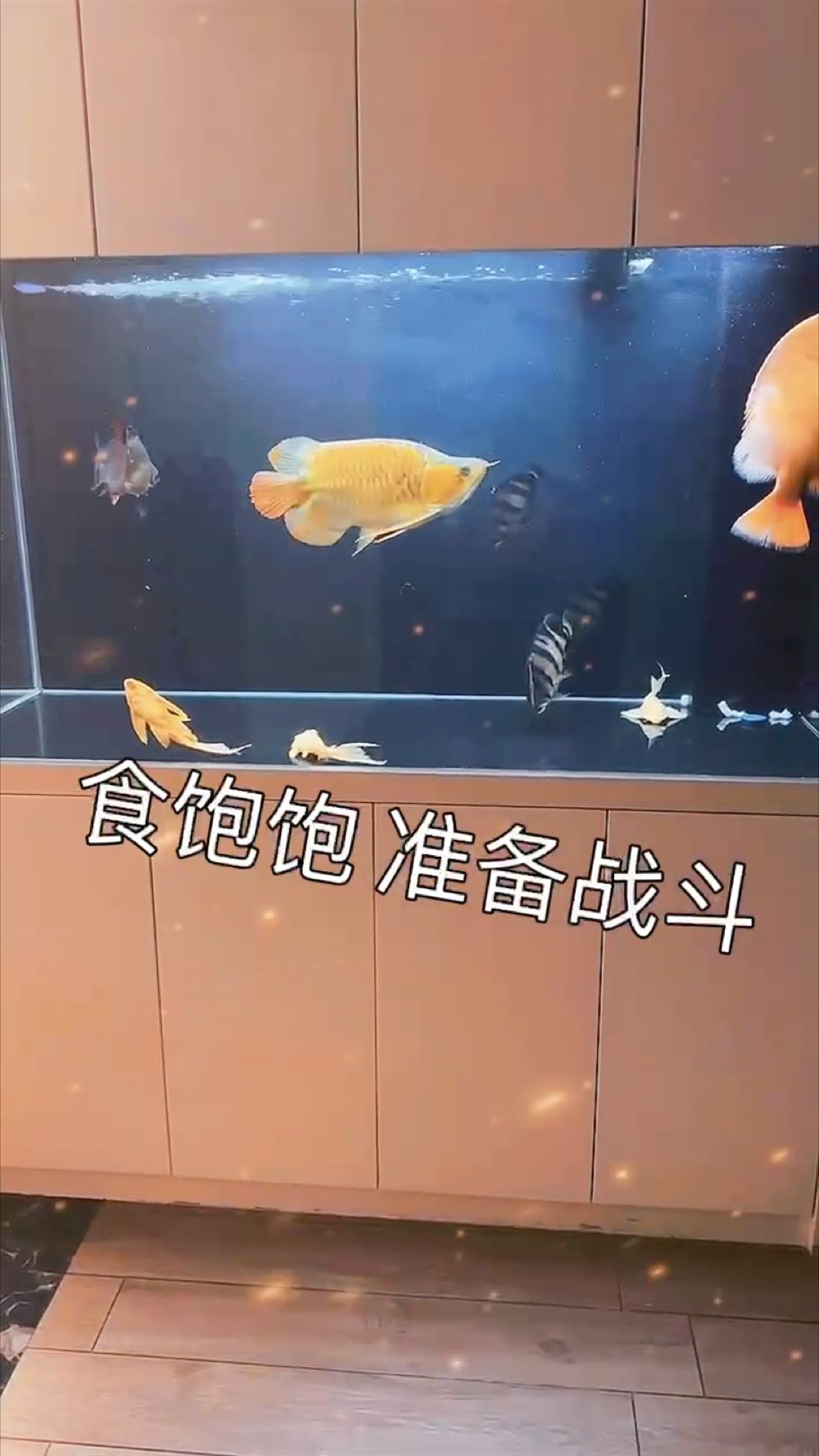 喝酒看魚聞花聽曲
