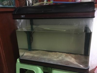大洋水族魚缸質量怎么樣啊知乎：大洋水族魚缸怎么樣？