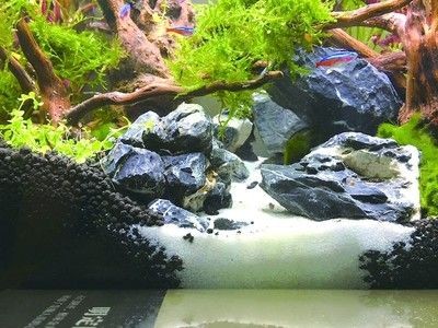 白色石子可以放魚缸嗎視頻：白色石子可以放魚缸嗎