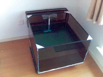 玻璃魚缸diy：diy玻璃魚缸制作經驗分享