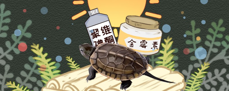 草龜腐皮原因是什么怎么治療好 草龜腐皮原因是什么怎么治療好 豬鼻龜百科