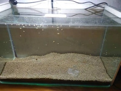 用玻璃制作魚缸圖片（用玻璃制作魚缸圖片大全） 用玻璃制作魚缸圖片（用玻璃制作魚缸圖片大全） 虎魚百科
