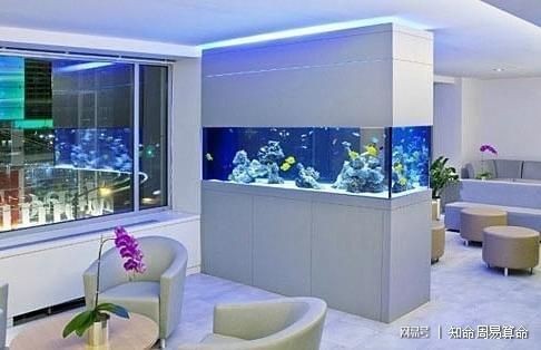 財位放魚缸好嗎：財位放魚缸合適之前需要了解財位和魚缸在風水中的特性和作用