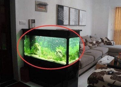 財位放魚缸好嗎：財位放魚缸合適之前需要了解財位和魚缸在風水中的特性和作用
